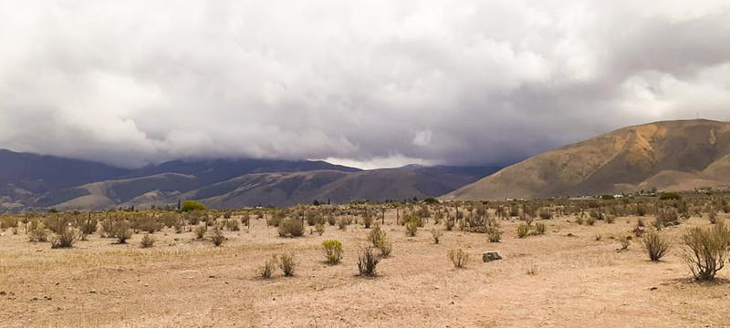 Terreno - Tafi Del Valle