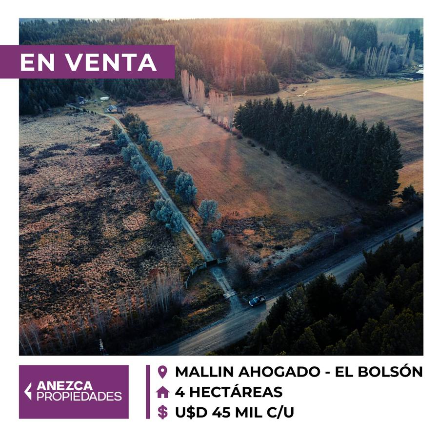 SE VENDE - 4 HECTÁREAS - MALLÍN AHOGADO - EL BOLSÓN