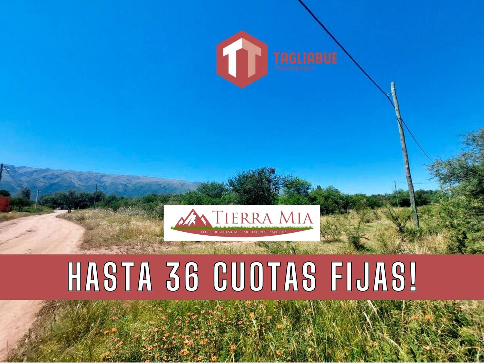 Tierra Mia - Lote 118